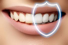xl22235-1